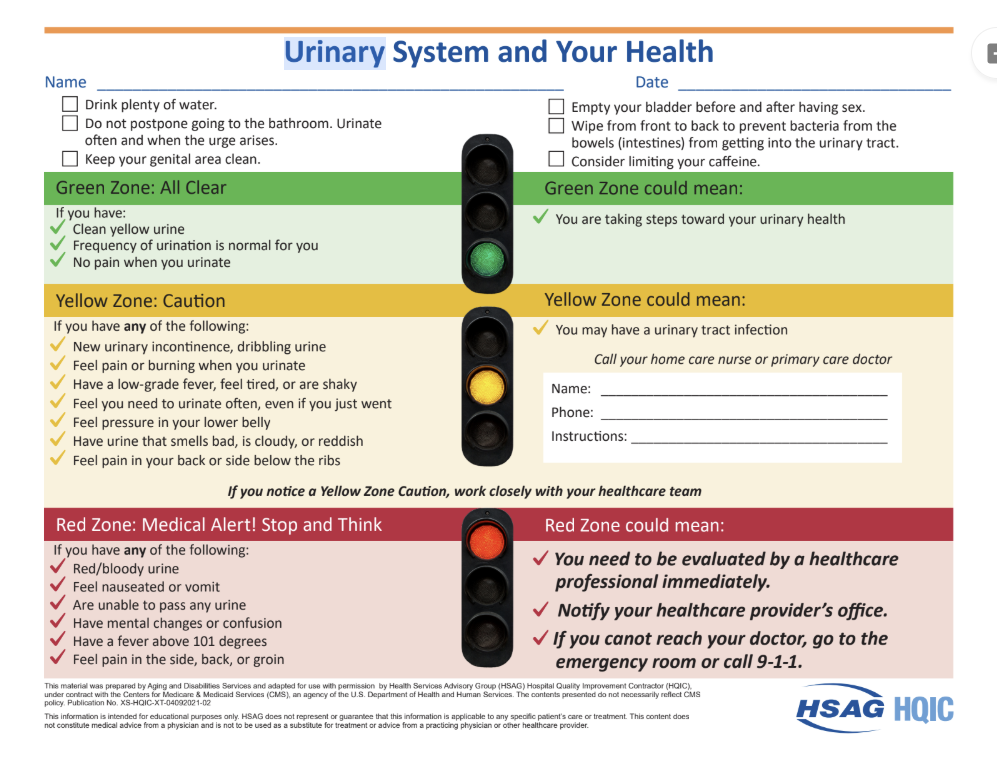 Urinary System and Your Health: The Zone Guide